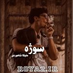 دانلود فایل رمان سوژه اثر ملیکا شاهوردی