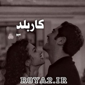 دانلود فایل رمان کاربلد نوشته میو سریع و آسان
