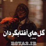 دانلود فایل رمان گل های آفتابگردان از صدف_ز سریع و آسان