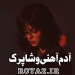 دانلود رمان آدم آهنی و شاپرک سریع و مستقیم از رویاتو